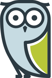 Equity Release Wise logo
